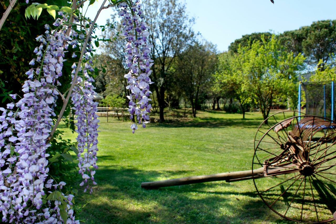 Вілла Agriturist Prile Кастільйоне-делла-Пеская Екстер'єр фото
